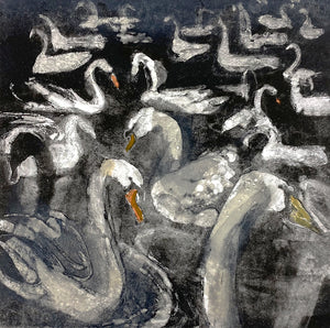 Caerlaverock Swans