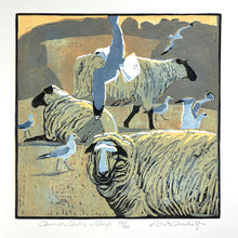 Load image into Gallery viewer, Common Gulls &amp; Sheep
