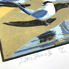 Load image into Gallery viewer, Little Terns II
