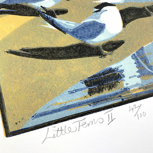 Little Terns II