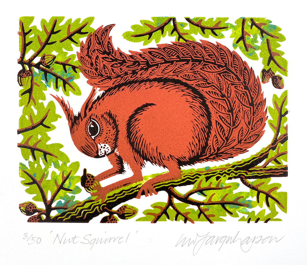 Nut Squirrel