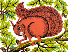 Load image into Gallery viewer, Nut Squirrel
