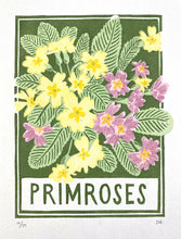 Load image into Gallery viewer, Primroses
