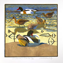 Load image into Gallery viewer, Shelducks &amp; Godwits
