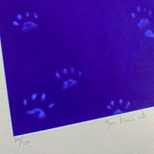 Load image into Gallery viewer, Yves Klein&#39;s Cats

