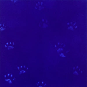 Yves Klein's Cats