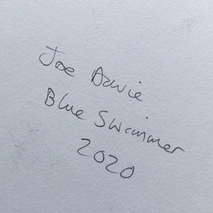 Blue Swimmer