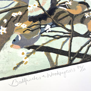 Bullfinches & Woodpigeons
