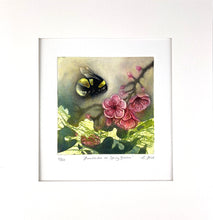 Load image into Gallery viewer, Bumblebee on Spring Blossom

