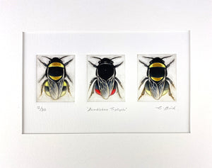 Bumblebee Triptych