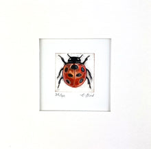 Load image into Gallery viewer, Ladybird
