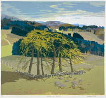 Load image into Gallery viewer, Larches at Daviot

