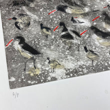 Load image into Gallery viewer, Oystercatcher Study
