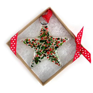 Sparkly Star in Gift Box