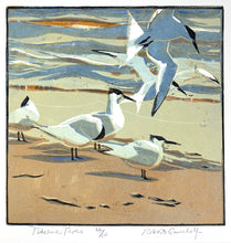 Load image into Gallery viewer, Tideline Terns
