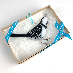 Pied Wagtail in Gift Box